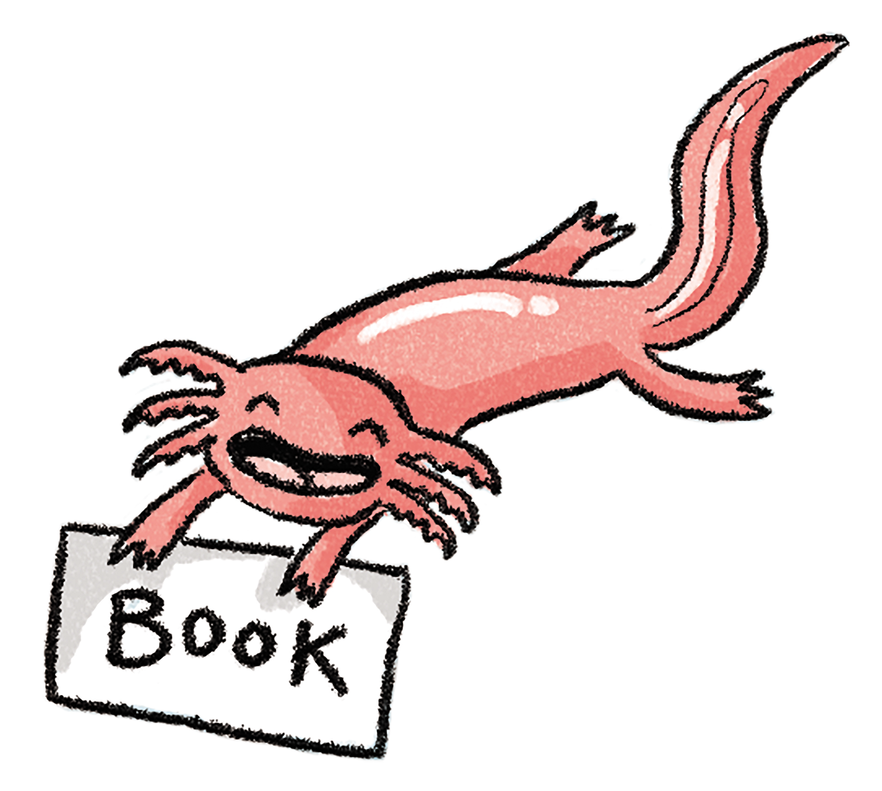 16 Axolotl Book.png