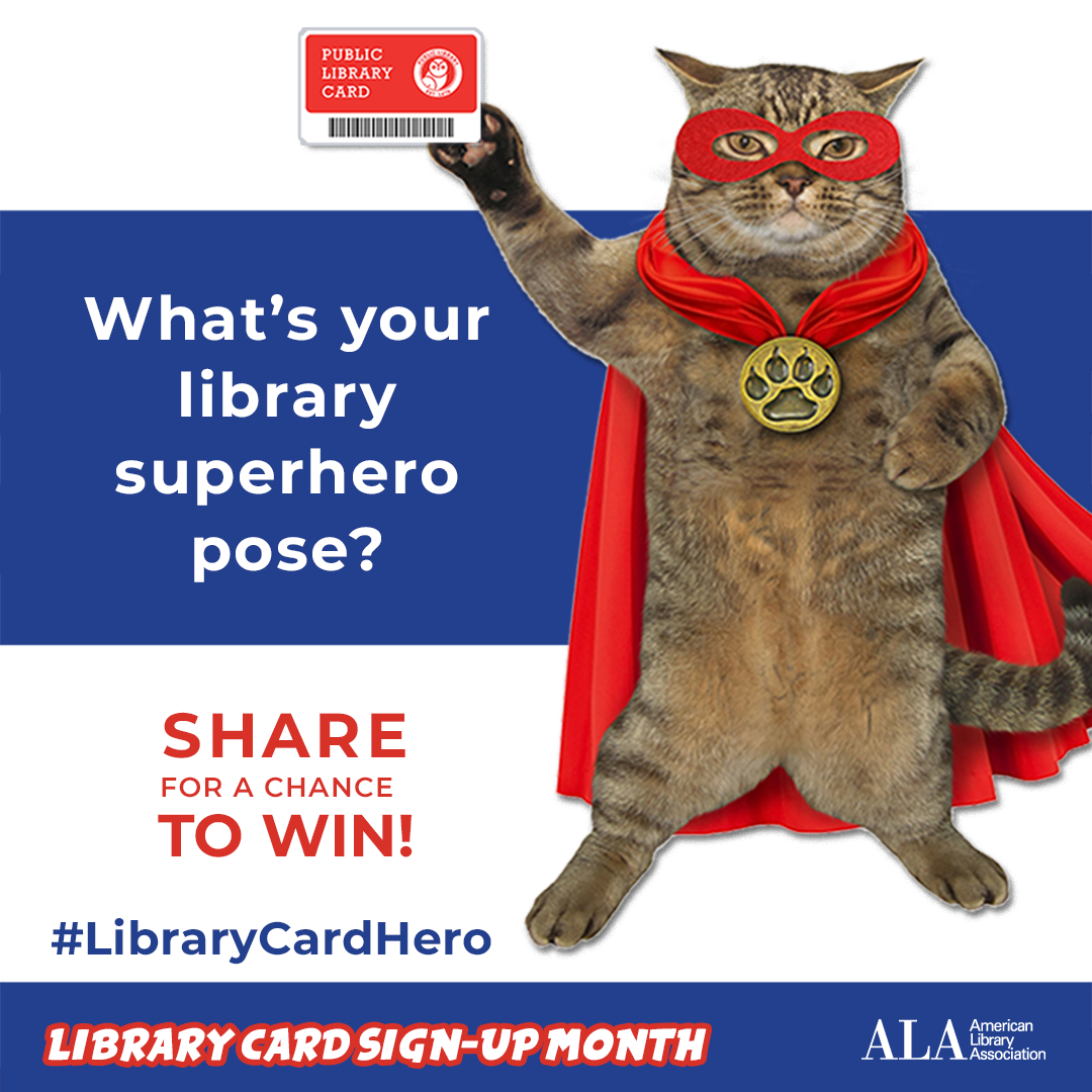 Library-super-hero-instagram-test.png